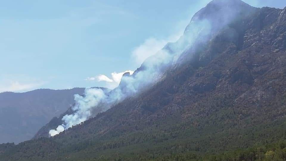Hay cinco incendios forestales activos en Nuevo León: Protección Civil
