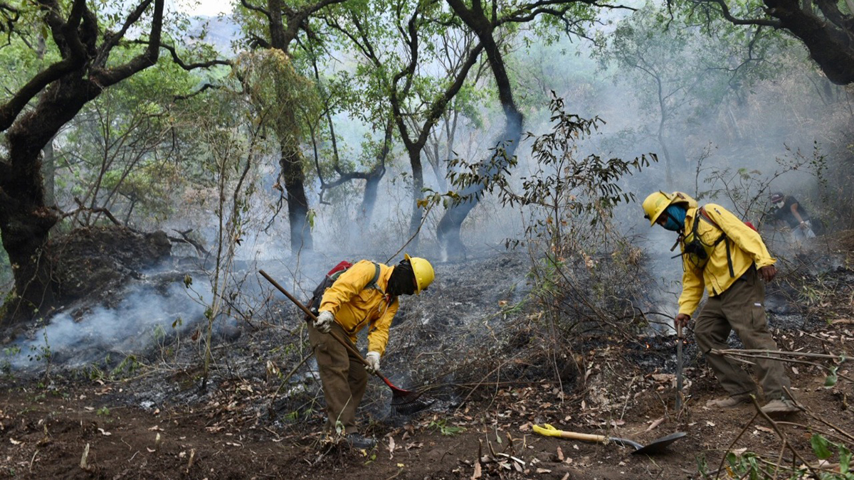 Controlan al 100 por ciento incendio en Tepoztlán, Morelos