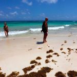 “Nadie lo puede controlar”: sargazo cubre las playas de Quintana Roo
