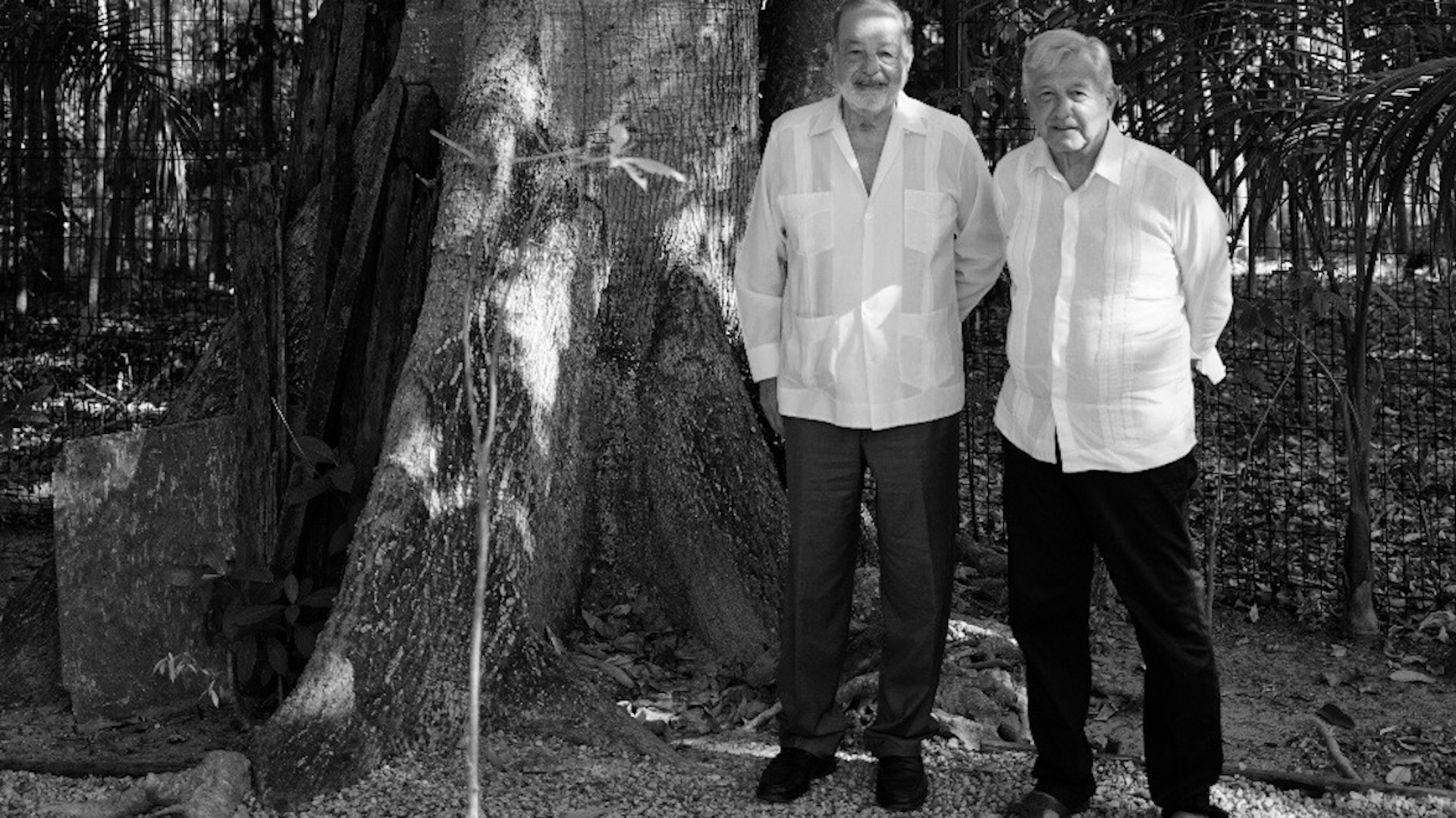 AMLO y Slim se reúnen en Palenque para evaluar avance del Tren Maya AMLO y Slim se reúnen en Palenque para evaluar avance del Tren Maya