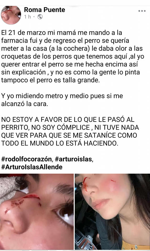 Novia de presunto asesino de Rodolfo Corazón revela agresión del perro; "no soy cómplice" del asesinato, afirma - publicacion-de-presunta-novia-del-asesino-de-rodolfo-corazon