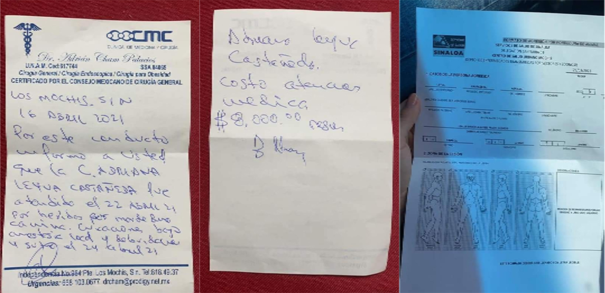 Novia de presunto asesino de Rodolfo Corazón revela agresión del perro; "no soy cómplice" del asesinato, afirma - recetas-de-adriana-por-atencion-medica