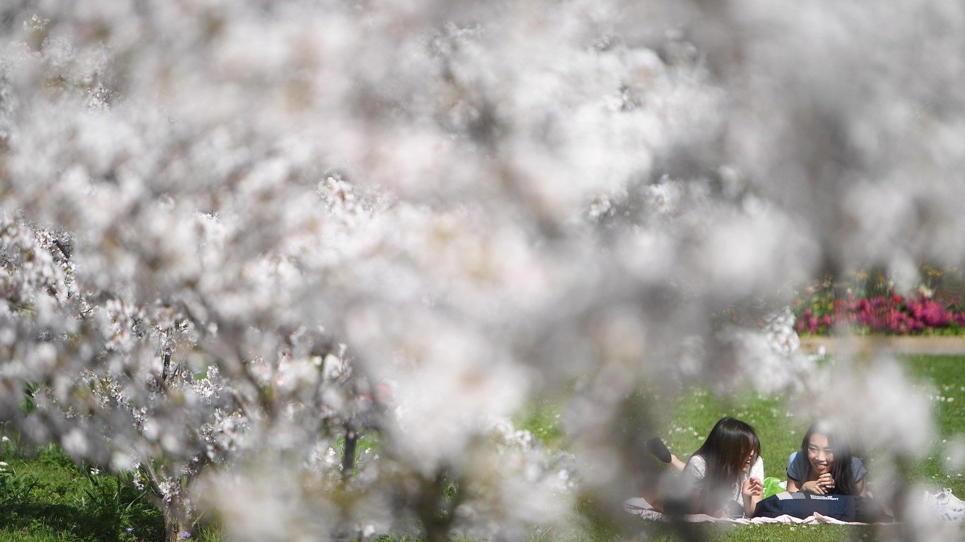 Restricciones por COVID-19, pide la OMS; advierte riesgos por aumento de movilidad y reuniones