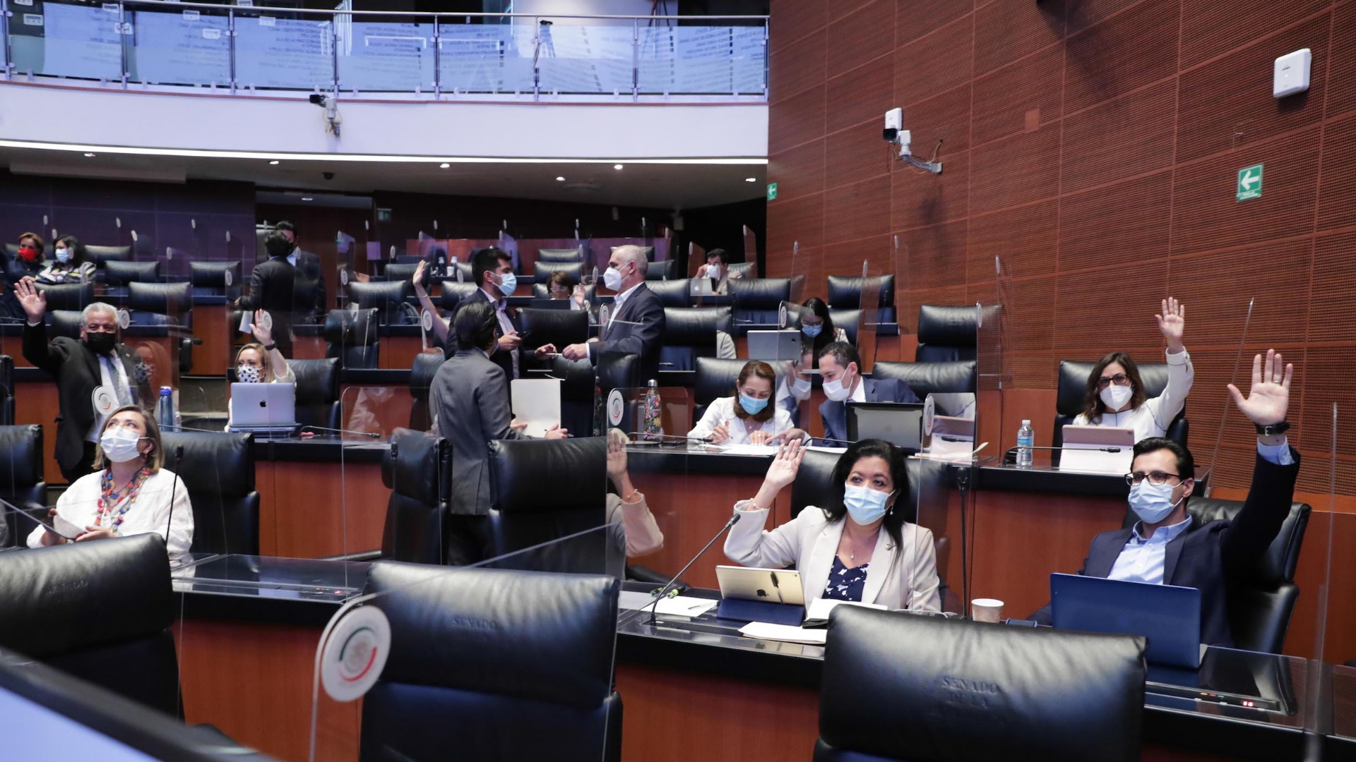 Comisiones del Senado aprueban dictamen final de la Ley de Revocación de Mandato