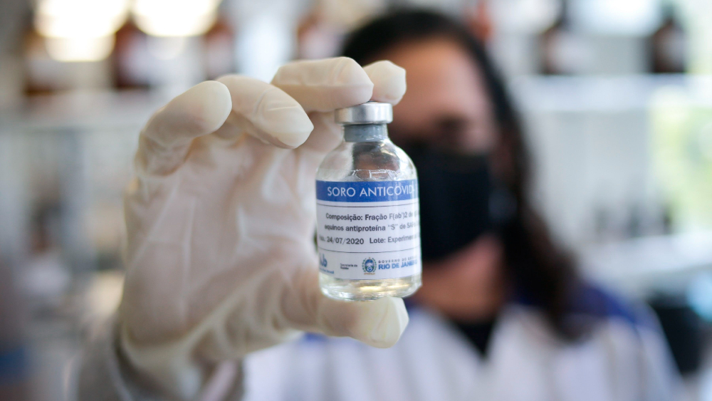 Investigadores desarrollan un suero anticovid a través del plasma de caballos Investigadores desarrollan un suero anticovid a través del plasma de caballos