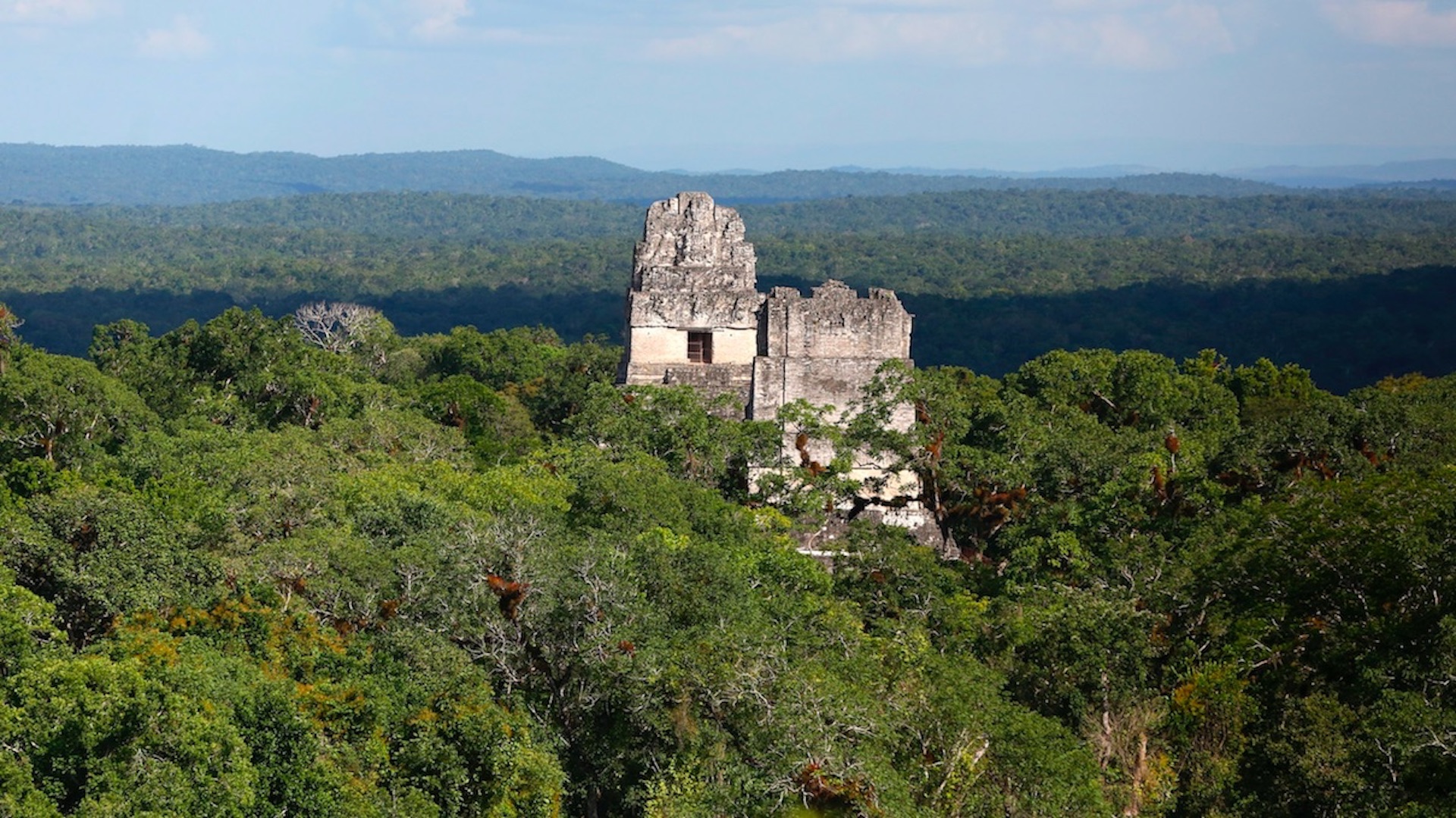 Descubren influencia de Teotihuacán en la zona de Tikal - tikal
