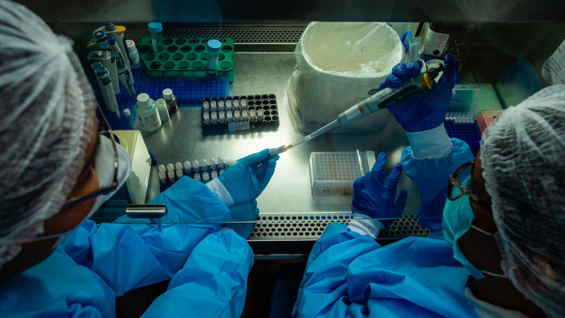 Mutación de COVID-19 que circula en México podría ser considerada variante de interés Mutación de COVID-19 que circula en México podría ser considerada variante de interés