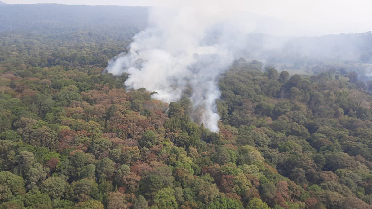 México tiene 73 incendios forestales activos; suman 15 mil hectáreas afectadas México tiene 73 incendios forestales activos; suman 15 mil hectáreas afectadas