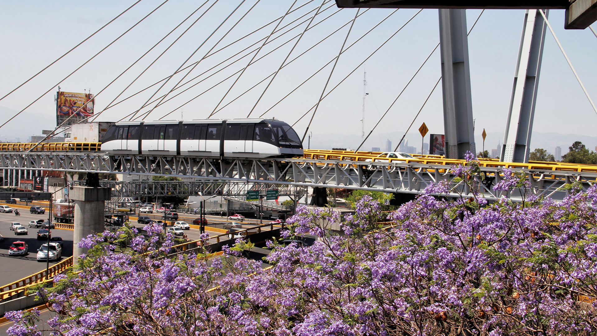 Reanudan sevicio del aerotrén en el AICM