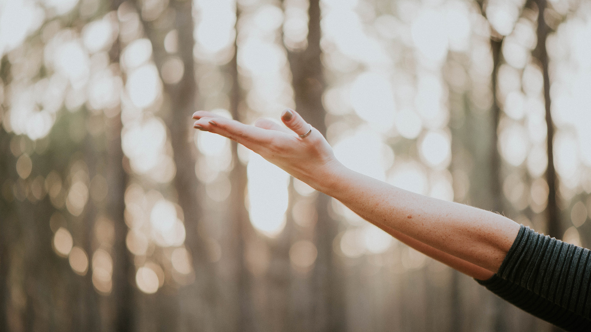 Smart Forum Well 360, evento para crear tu propio ‘código de bienestar’