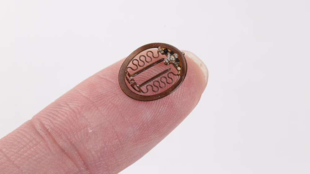 Desarrollan implante que programa ratones para que interactúen socialmente