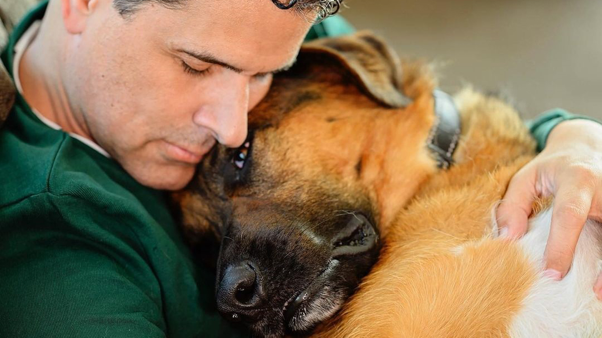 Murió ‘Bernie’, perro de Marco Antonio Regil
