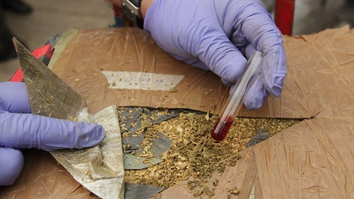 Destruye FGR casi 100 toneladas de drogas y precursores químicos - mariguana-incinerada-en-sinaloa