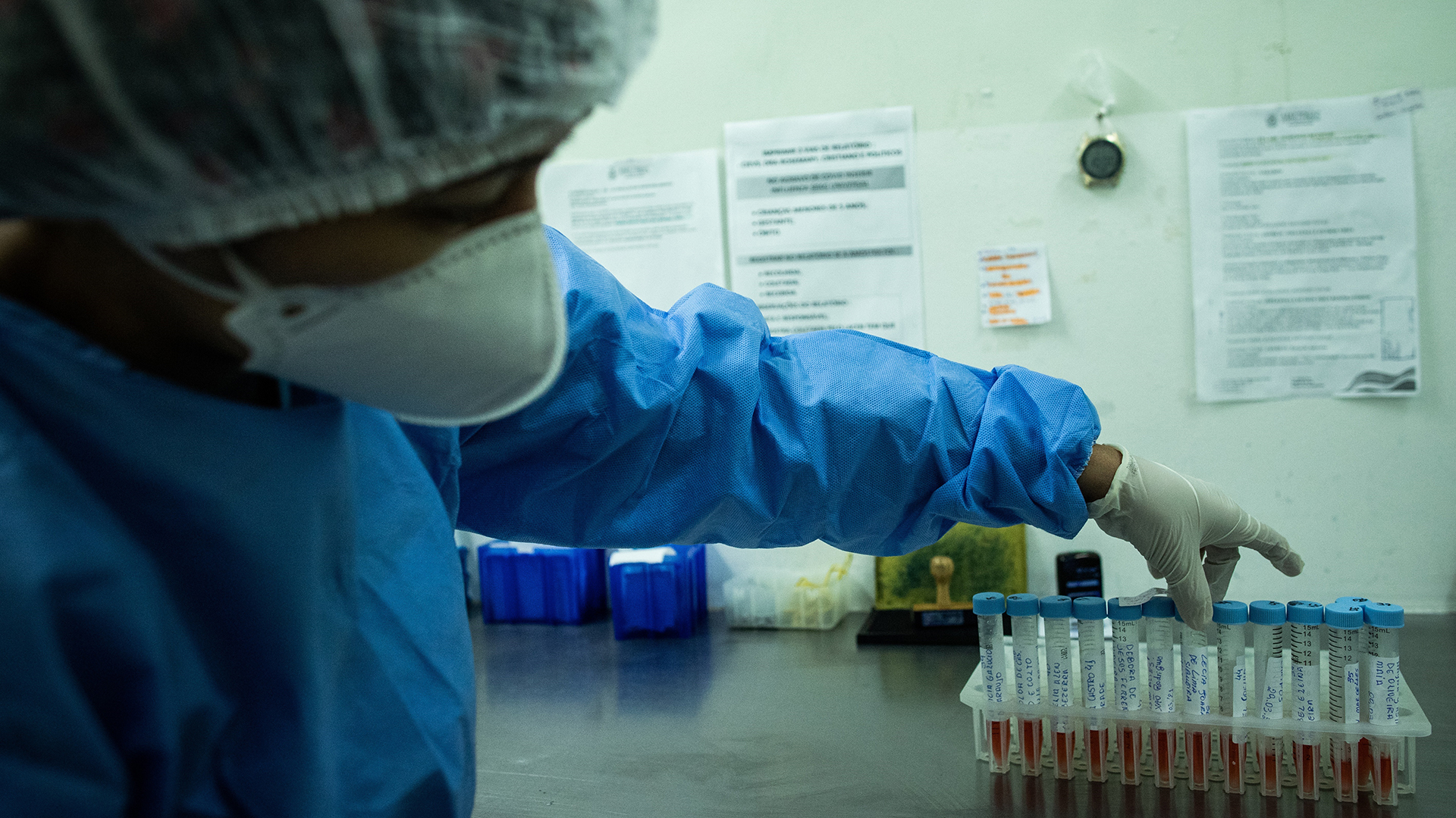 Repunte de COVID-19 en América y África muestra que pandemia no ha acabado: OMS Repunte de COVID-19 en América y África muestra que pandemia no ha acabado: OMS