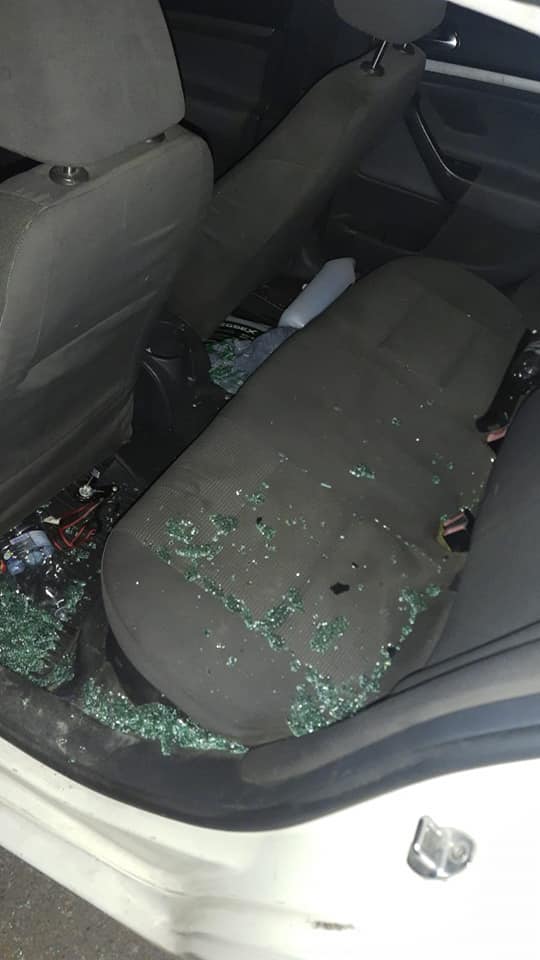 Roban al 'Perro Sultán' de los Sultanes de Monterrey - robo-del-perro-sultan-mascota-de-los-sultanes-de-monterrey