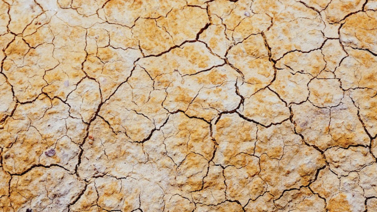 México, en alerta severa por sequía México, en alerta severa por sequía