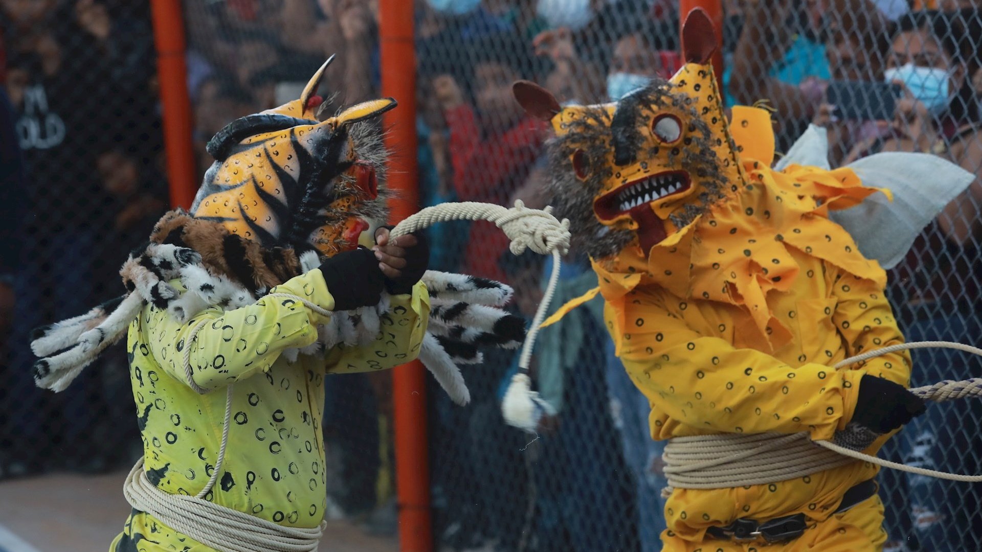 Pelea de tigres, un ritual al dios de la lluvia que se mantiene en Zitlala, Guerrero - tigres-zitlala-lluvia-2