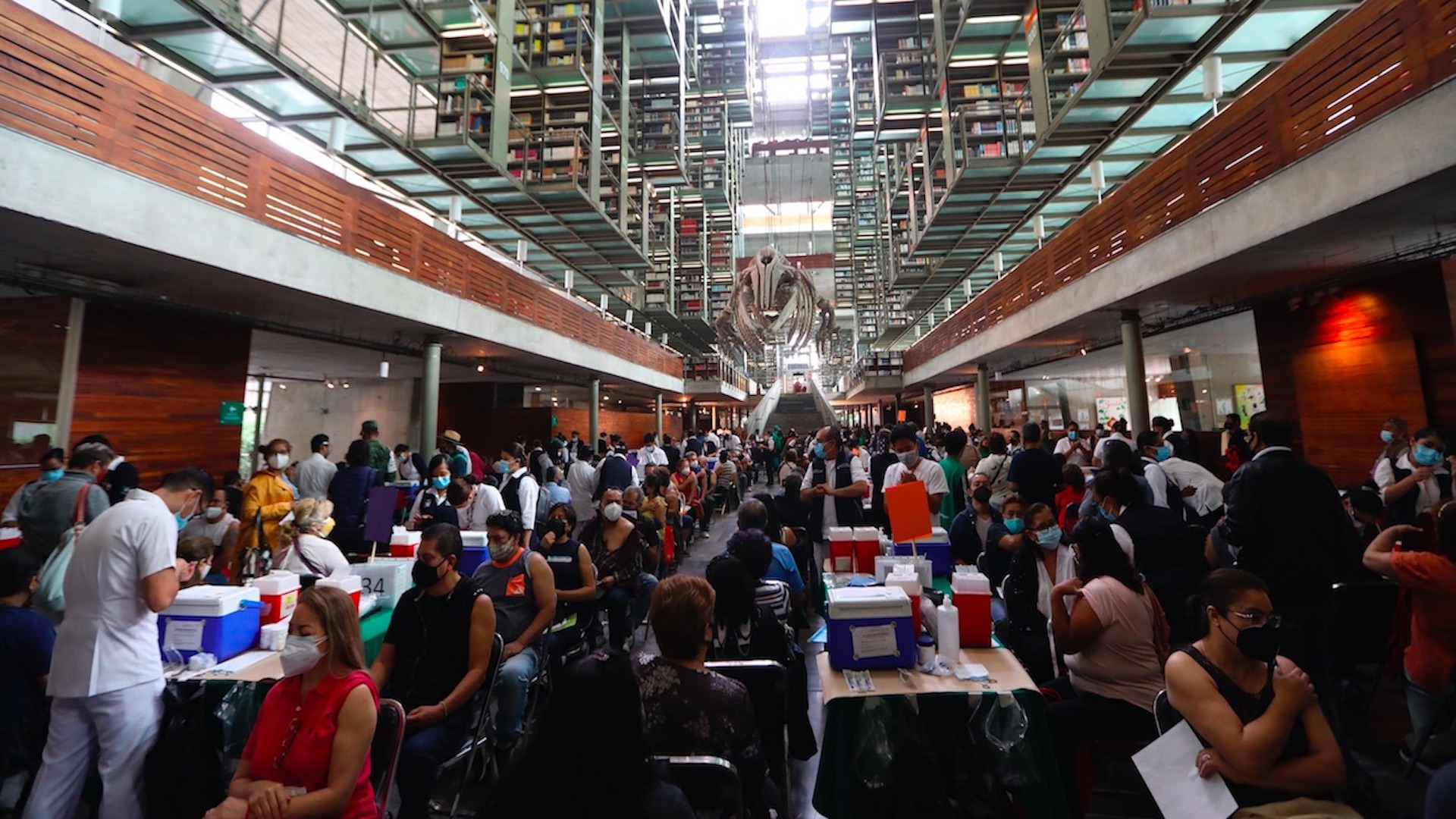 México tardaría 13 meses en vacunar al 70 por ciento de la población y lograr inmunidad