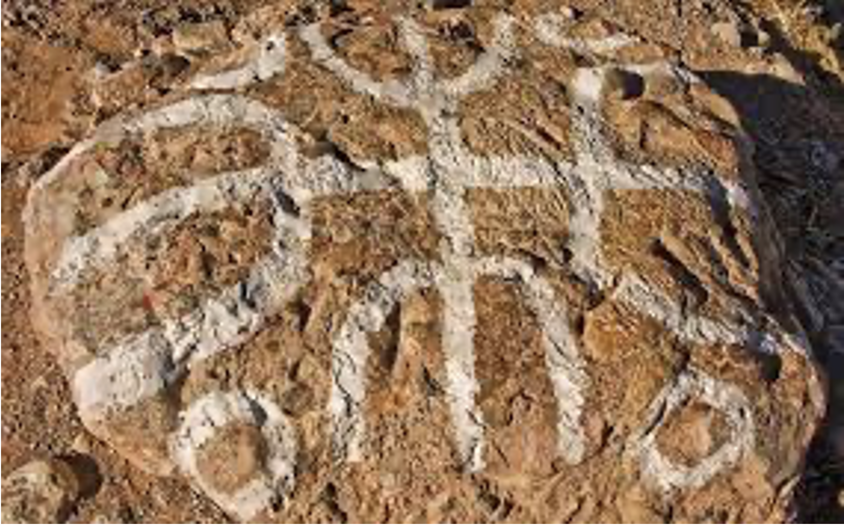 Al-Kāhina (Dinhya) la sacerdotisa - al-kahina-3