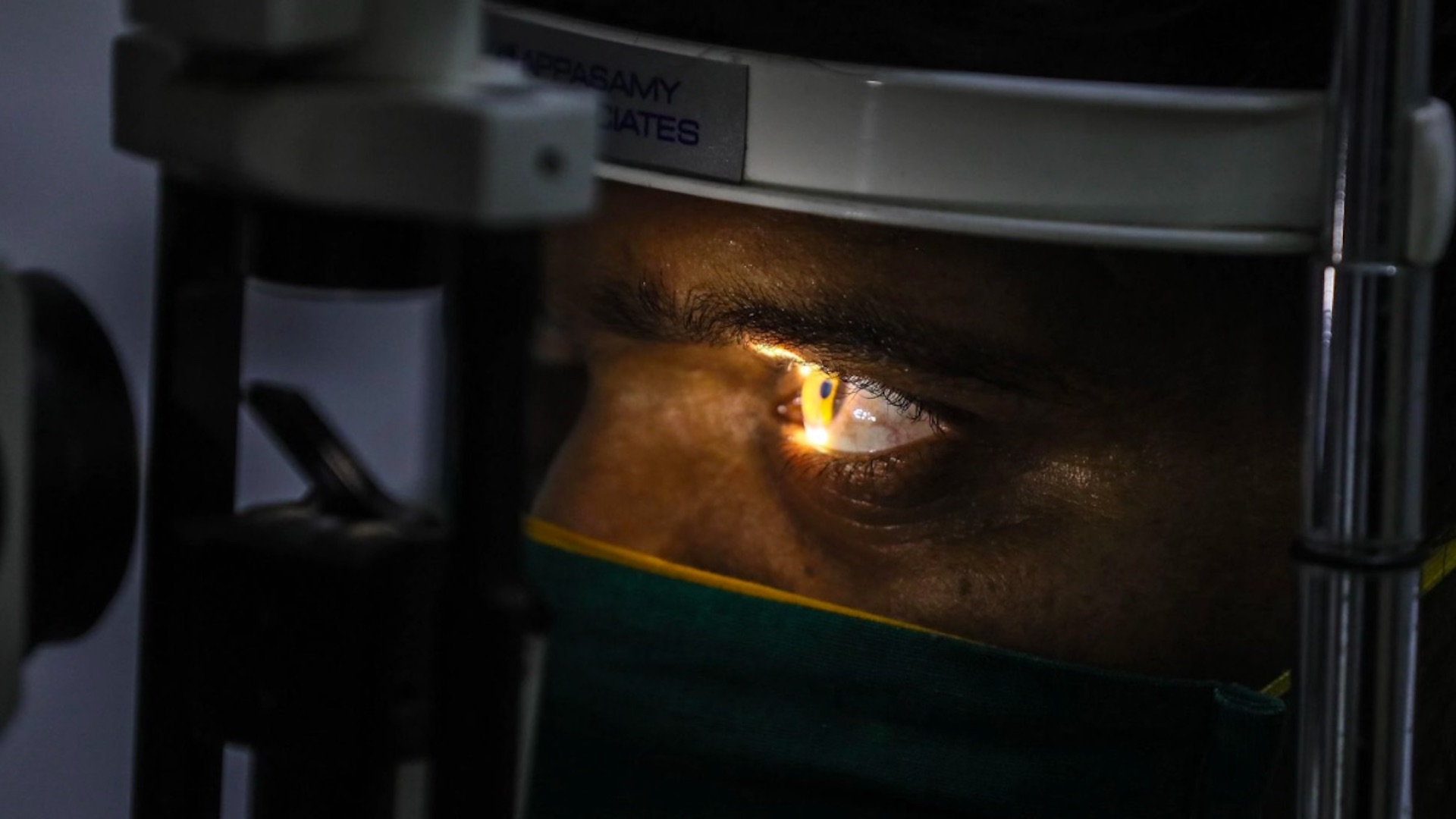 ¿Qué es el Hongo Negro y por qué alarma al mundo?