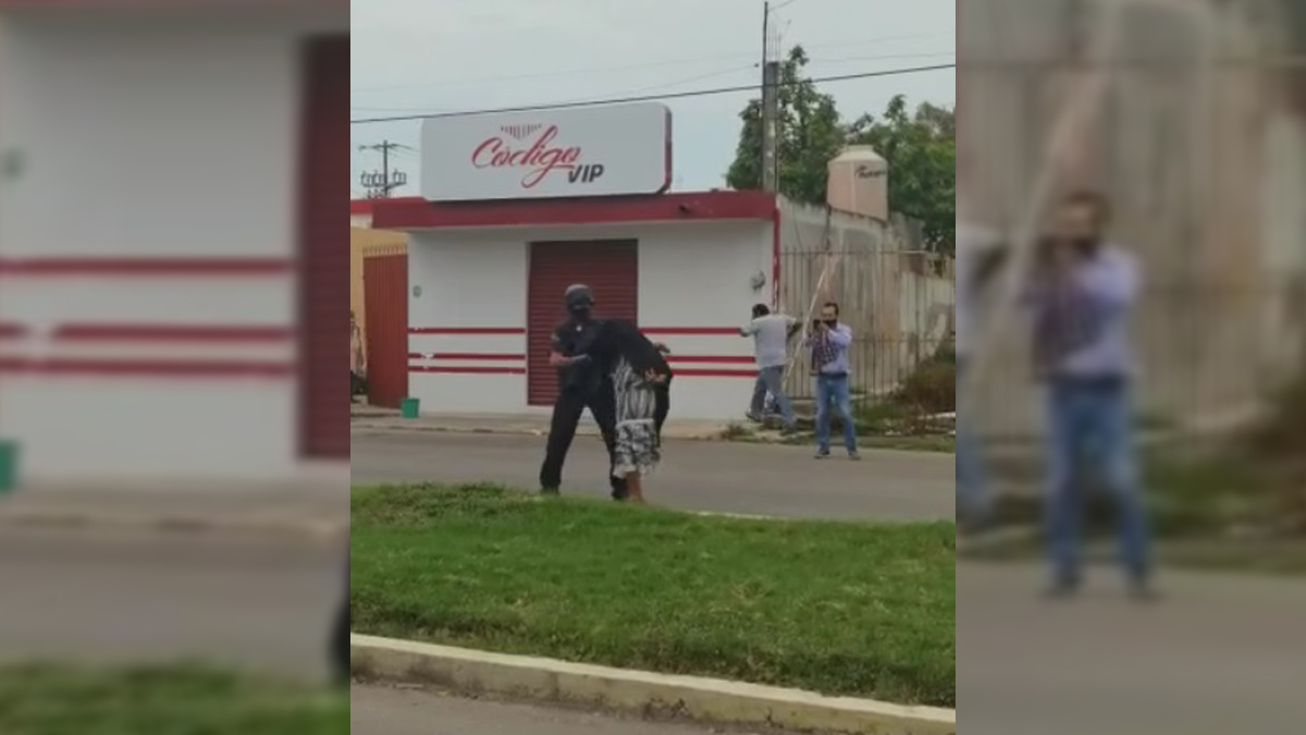 #Video Abejas africanas atacan a habitantes de Chetumal; anciana sufrió shock anafiláctico