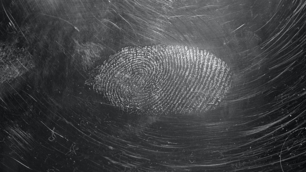 Organismos lanzan plataforma por emergencia forense en México