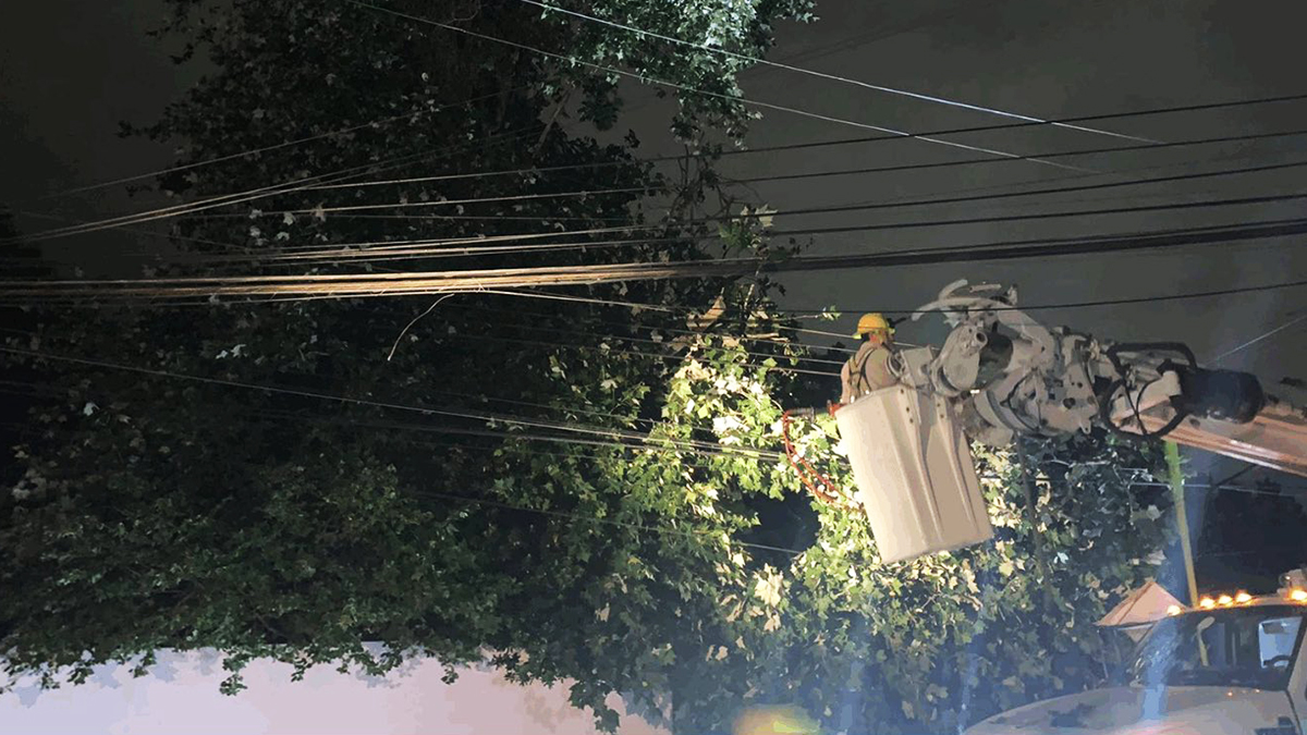 CFE restablece luz a 68 % de usuarios afectados en Nuevo León por frente frío - labores-de-cfe-para-restablecer-la-energia-en-nuevo-leon