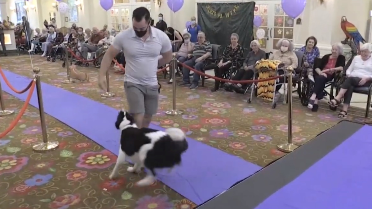 Desfile de perros alienta a residentes de geriátrico tras aislamiento de 2020