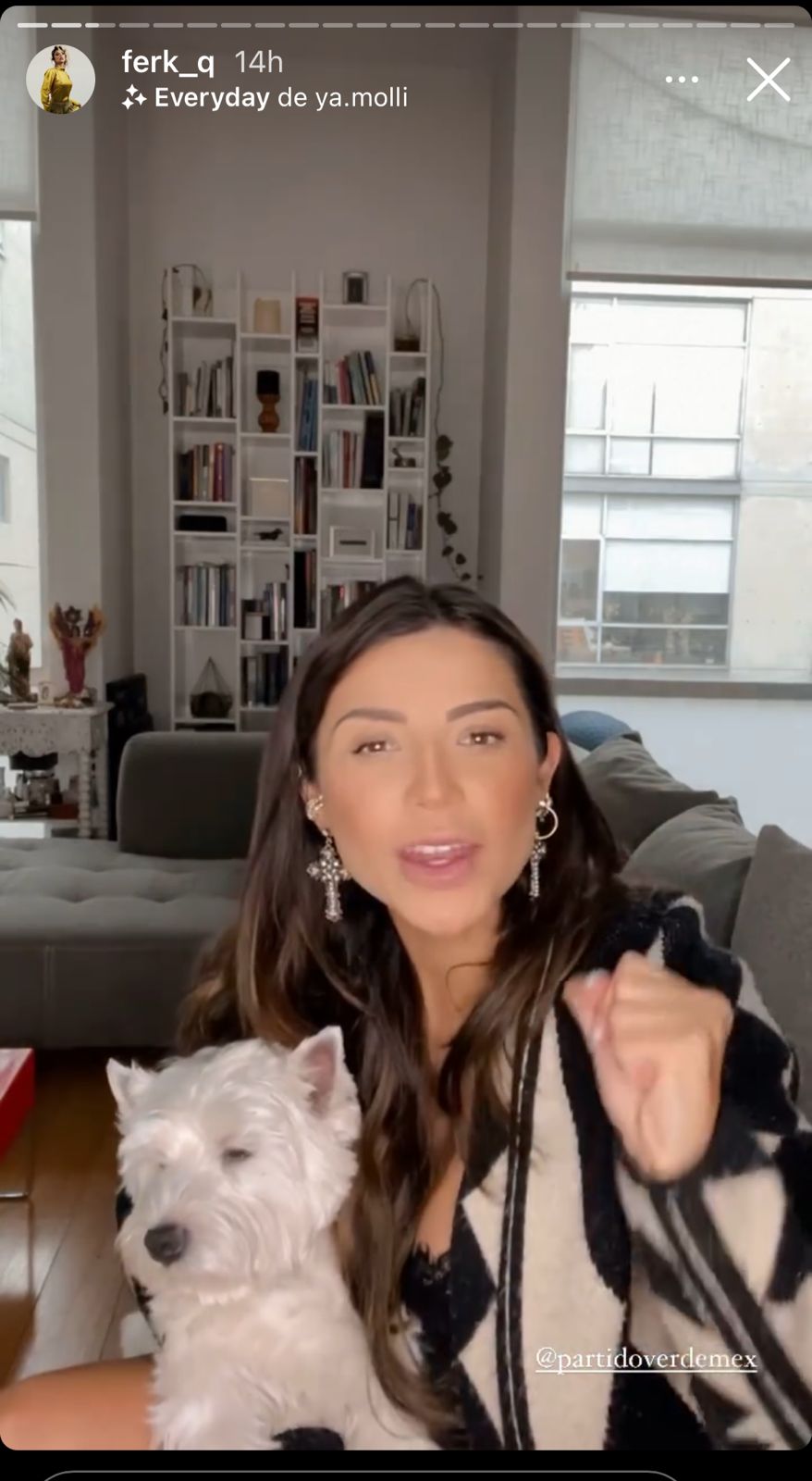 Pese a veda, promueven artistas e 'influencers' al Partido Verde - partido-verde-maria-fernanda-quiroz