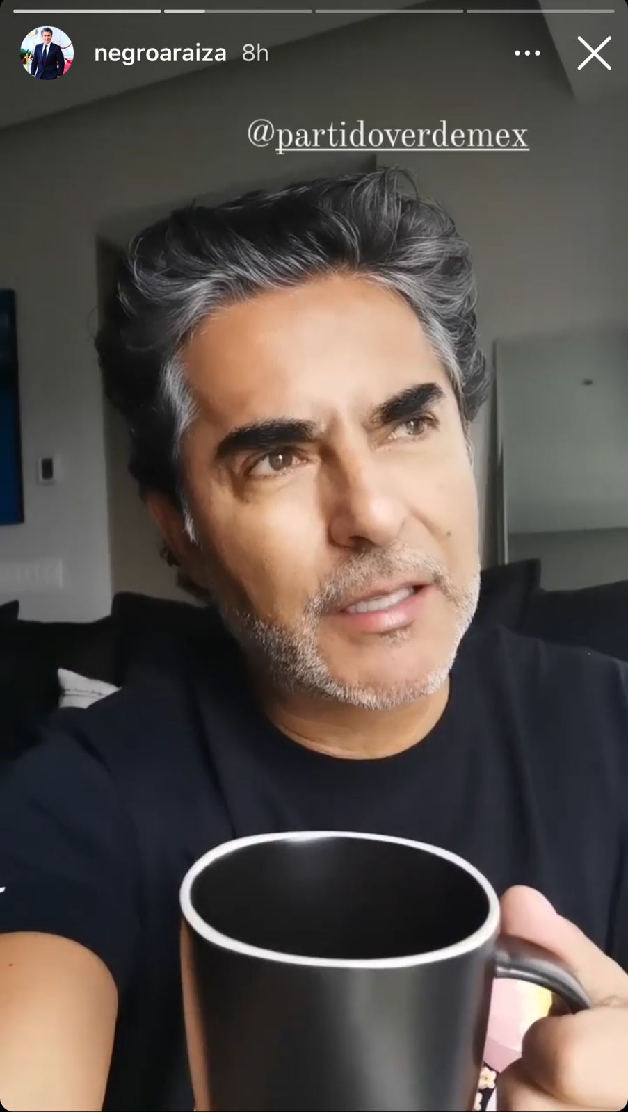 Pese a veda, promueven artistas e 'influencers' al Partido Verde - partido-verde-negro-araiza