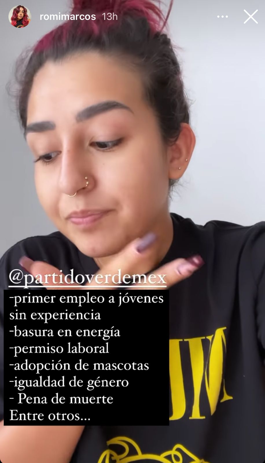 Pese a veda, promueven artistas e 'influencers' al Partido Verde - partido-verde-romi-marcos