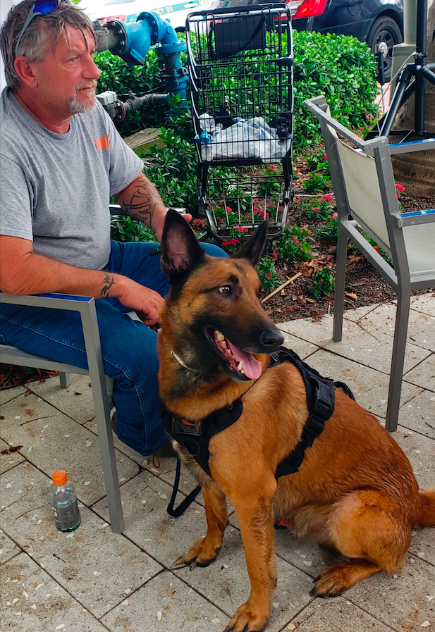 Perros ayudan a mantener la esperanza en derrumbe de Miami - perros-de-consuelo