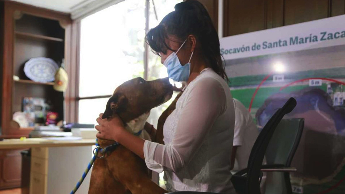 #Video Spay se reencuentra con su dueña tras ser rescatado de socavón en Puebla