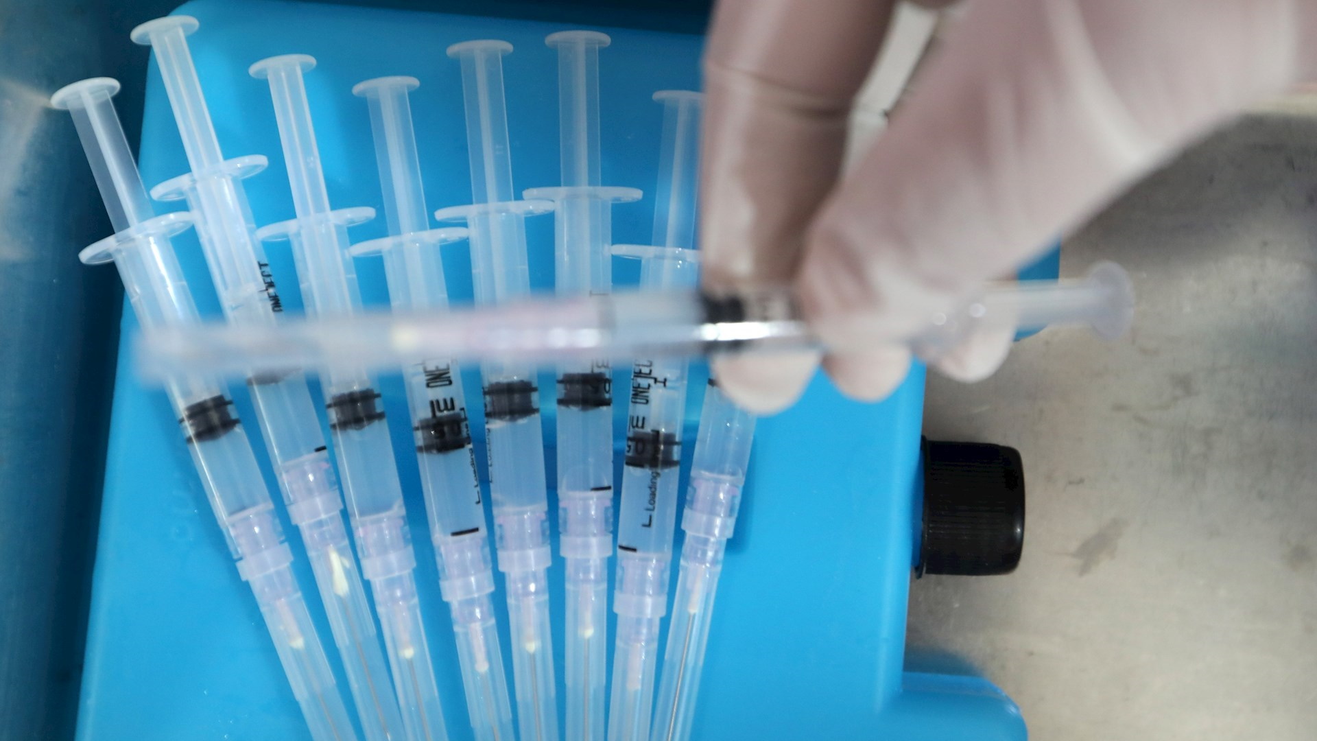 FDA autoriza dosis de refuerzo de vacunas Pfizer y Moderna para todos los adultos FDA autoriza dosis de refuerzo de vacunas Pfizer y Moderna para todos los adultos