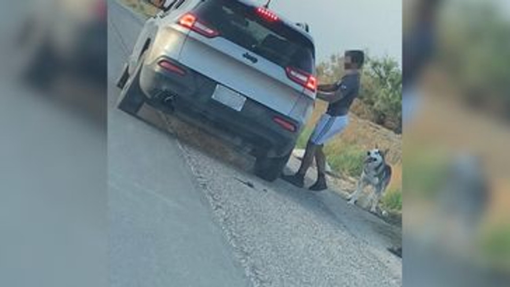 Texas: Arrestan a hombre tras abandonar a su perro en la carretera Texas: Arrestan a hombre tras abandonar a su perro en la carretera