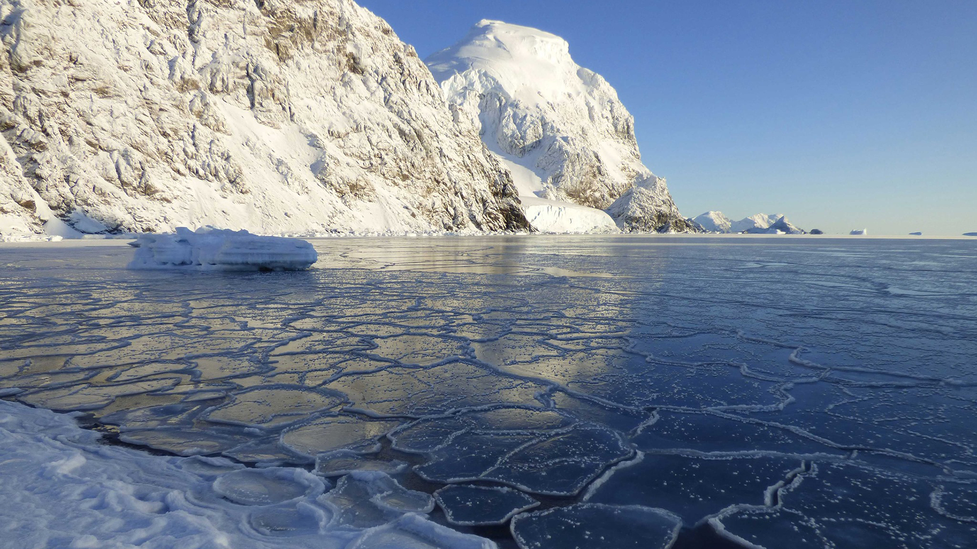 OMM confirma temperatura récord en la Antártida de 18.3 grados