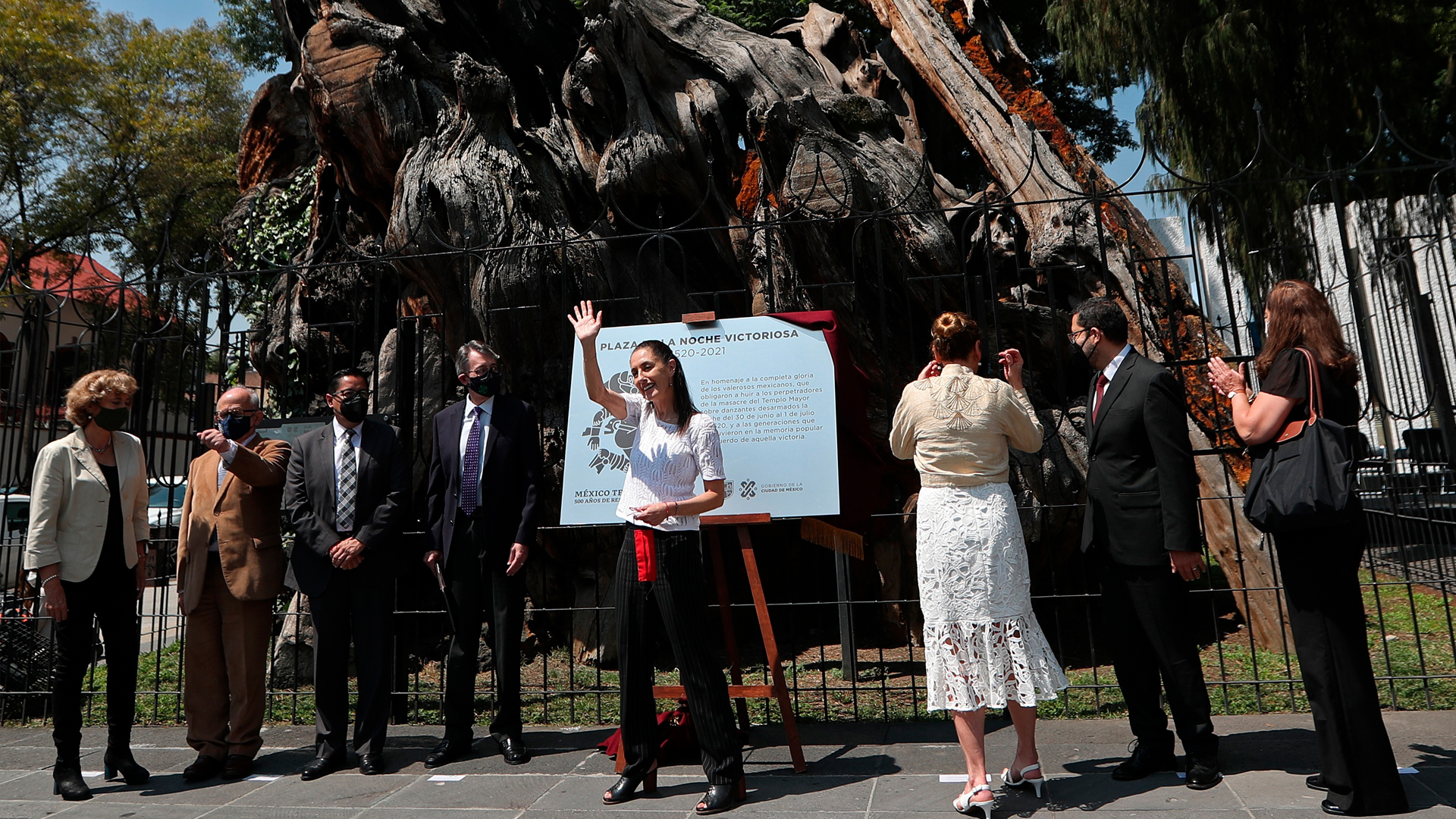 México convierte en “victorioso” el árbol de la Noche Triste México convierte en “victorioso” el árbol de la Noche Triste