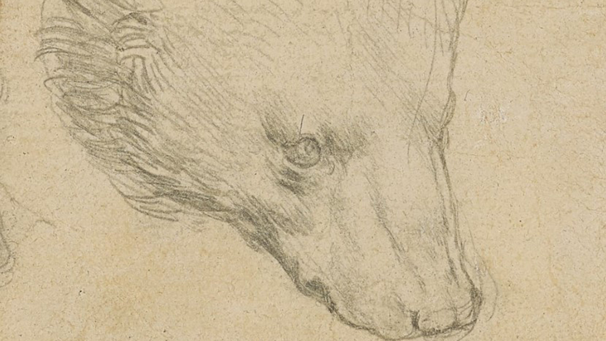Boceto de oso de Da Vinci alcanza precio récord en subasta