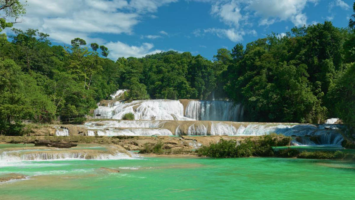 Hallan muerta a turista de Portugal que cayó en cascadas de Agua Azul, Chiapas