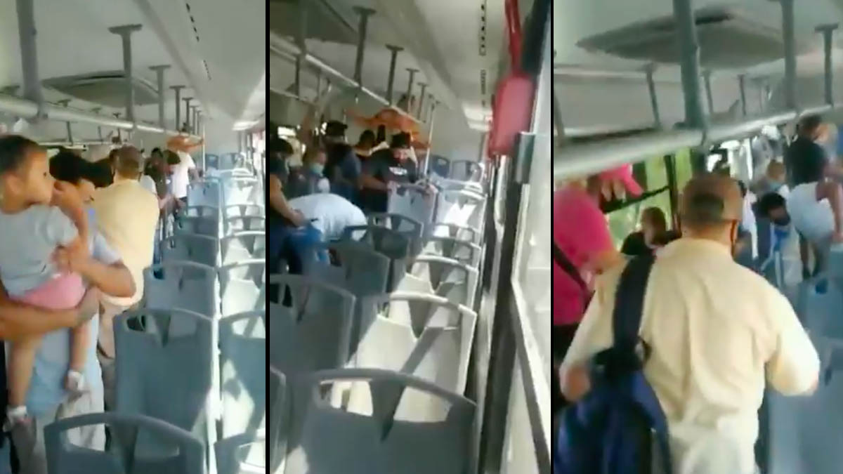 #Video Serpiente a bordo de camión en Escobedo desata pánico