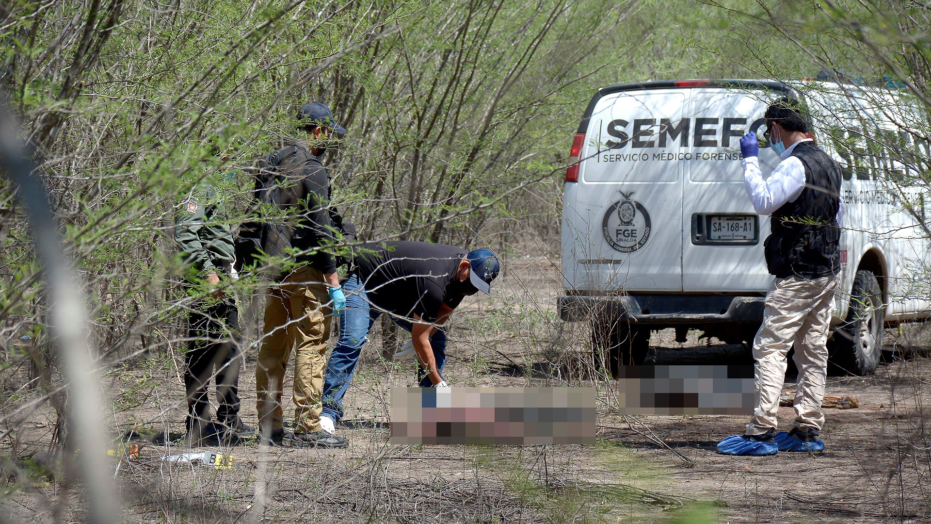 Colectivo de búsqueda de desaparecidos halla en Sinaloa los cuerpos de dos hombres