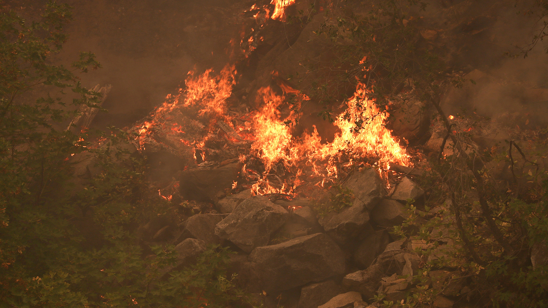 Incendios obligan la evacuación en California de miles de personas Incendios obligan la evacuación en California de miles de personas