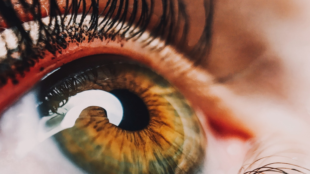 Científicos mexicanos logran transferir vitamina A a nanopartículas para uso oftálmico Científicos mexicanos logran transferir vitamina A a nanopartículas para uso oftálmico