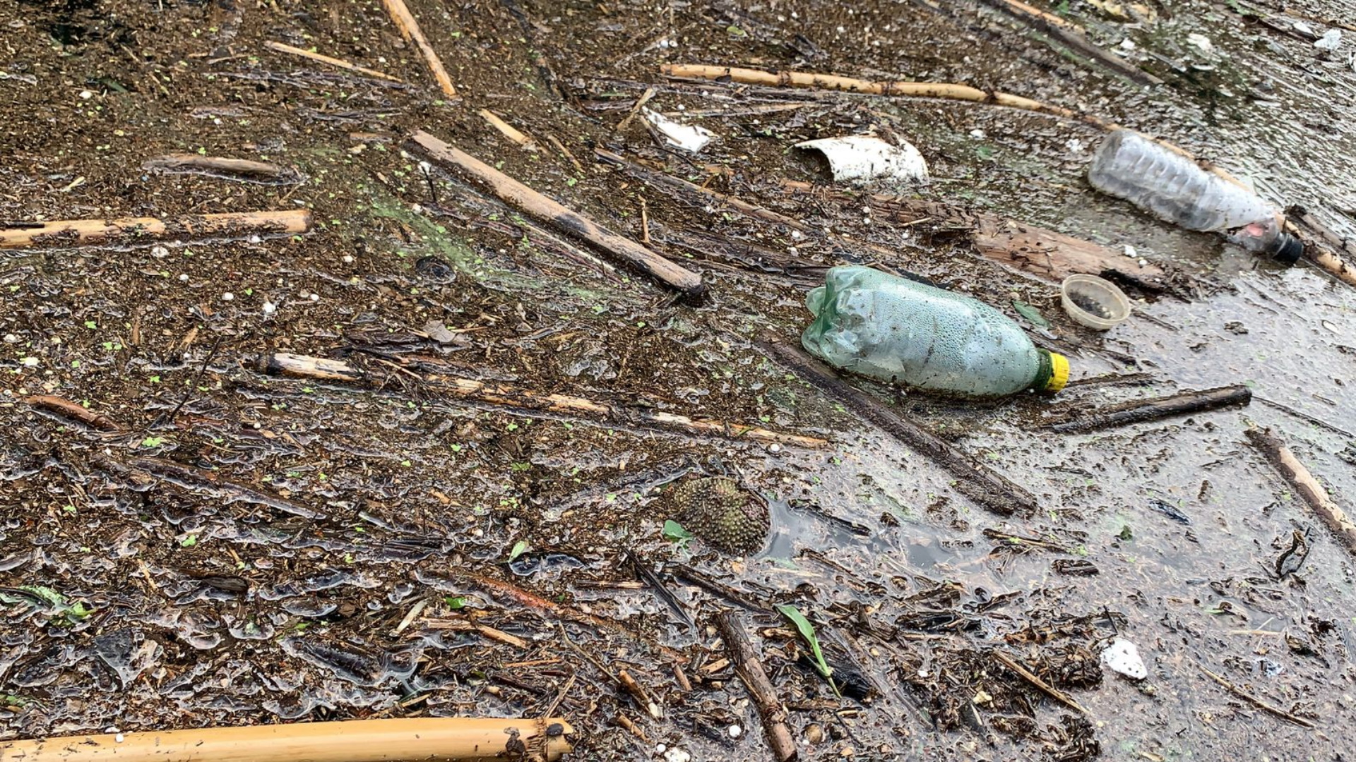 Presa de la Boca en Santiago, Nuevo León, completamente contaminada - presa-de-la-boca-en-santiago-nuevo-leon