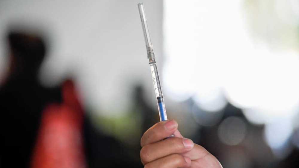 Nuevo modelo matemático ayudará a optimizar el desarrollo de vacunas Nuevo modelo matemático ayudará a optimizar el desarrollo de vacunas