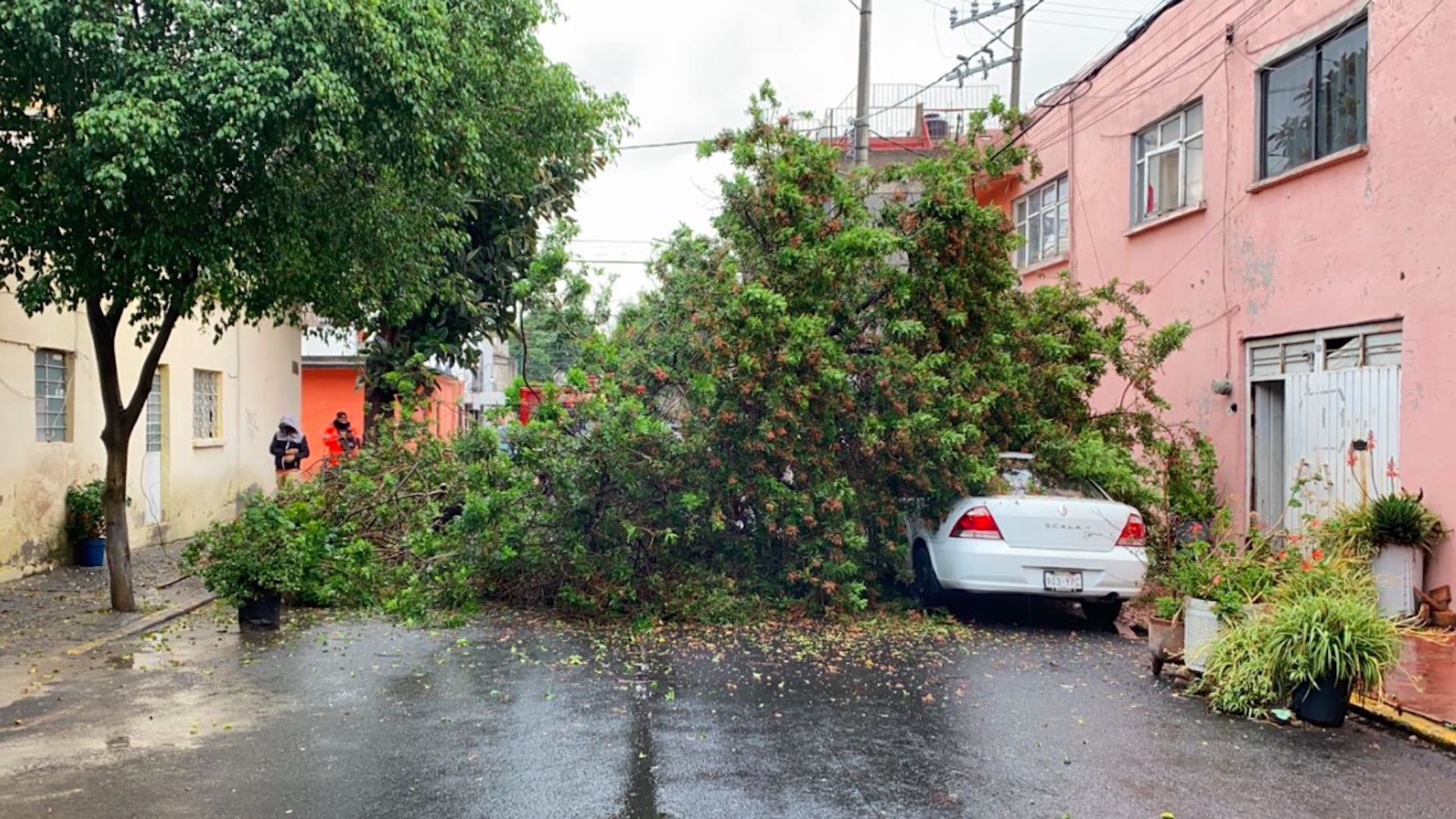 Ciudad de México con afectaciones por llegada de Grace