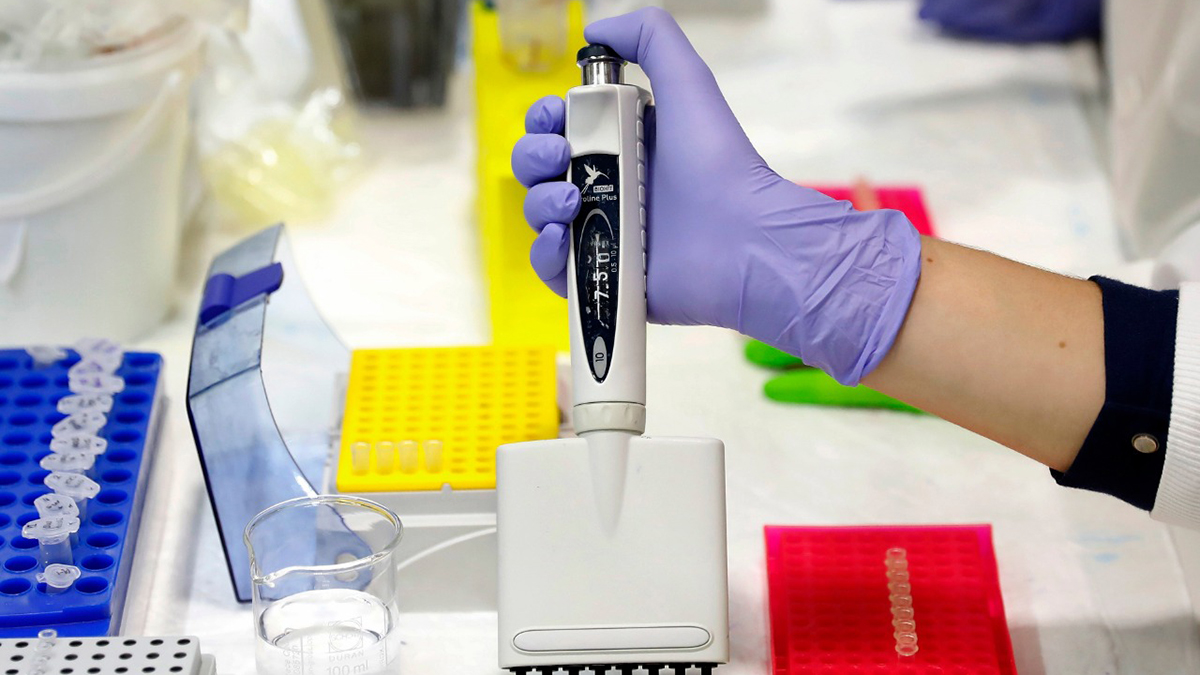 Nuevo virus de China no debe causar alarma, pero sí hay que vigilarlo: experto Nuevo virus de China no debe causar alarma, pero sí hay que vigilarlo: experto