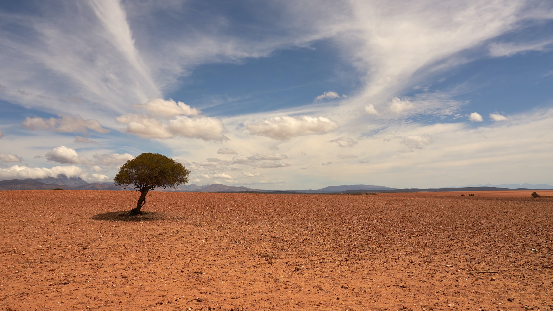 Julio de 2021, el mes más caluroso que ha tenido hasta ahora la Tierra