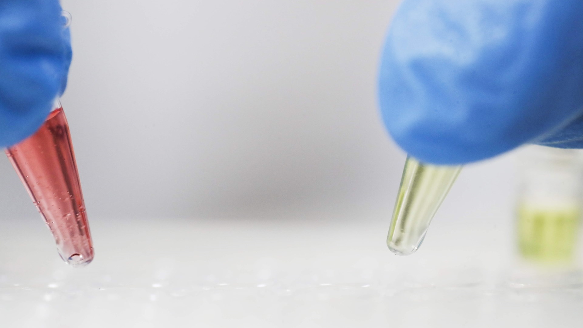 Descubren cinco compuestos que inhiben la proteína que replica el SARS-CoV-2 Descubren cinco compuestos que inhiben la proteína que replica el SARS-CoV-2