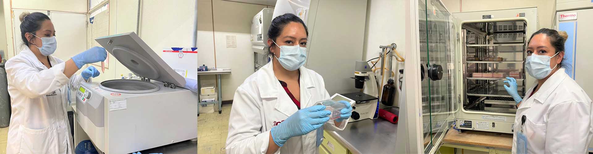 Científica del IPN desarrolla biofármaco con eficacia contra replicación del coronavirus - doctora-covid-19-ipn-coronavirus